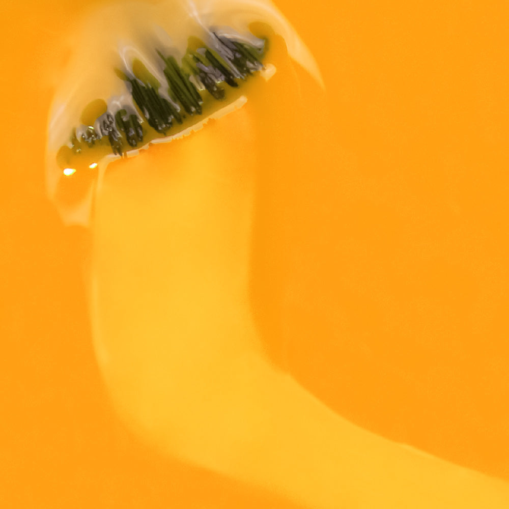 Esmalte Semipermanente INOCOS Laurear A Pevide 15ml